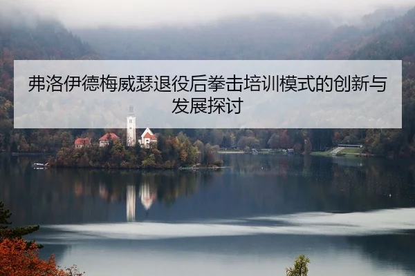 弗洛伊德梅威瑟退役后拳击培训模式的创新与发展探讨